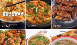 美食视频做菜大全视频,跟着视频学做家常美食